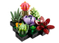 Icons Succulents - 10309