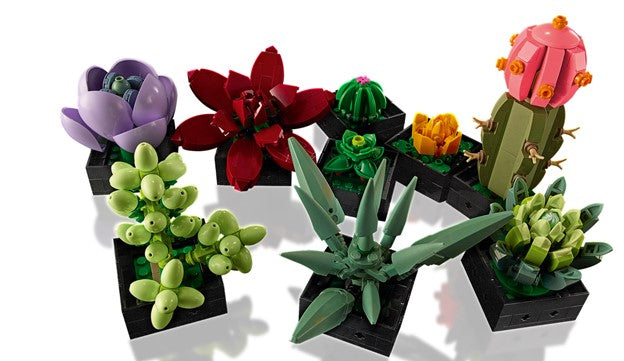 Icons Succulents - 10309