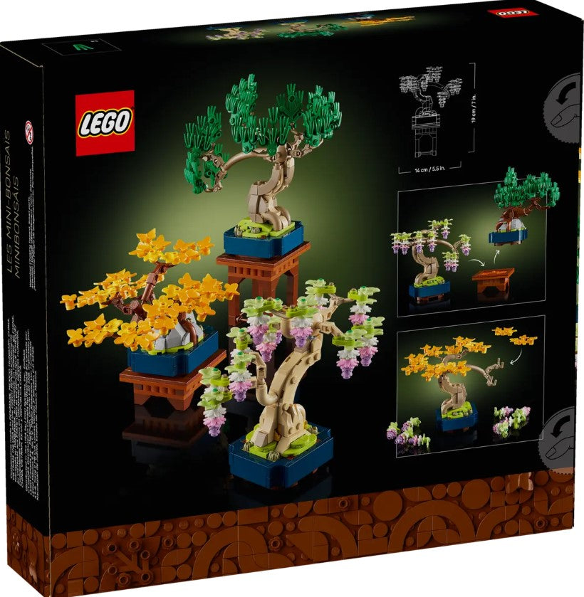 Botanicals Mini Bonsai Trees - 10373