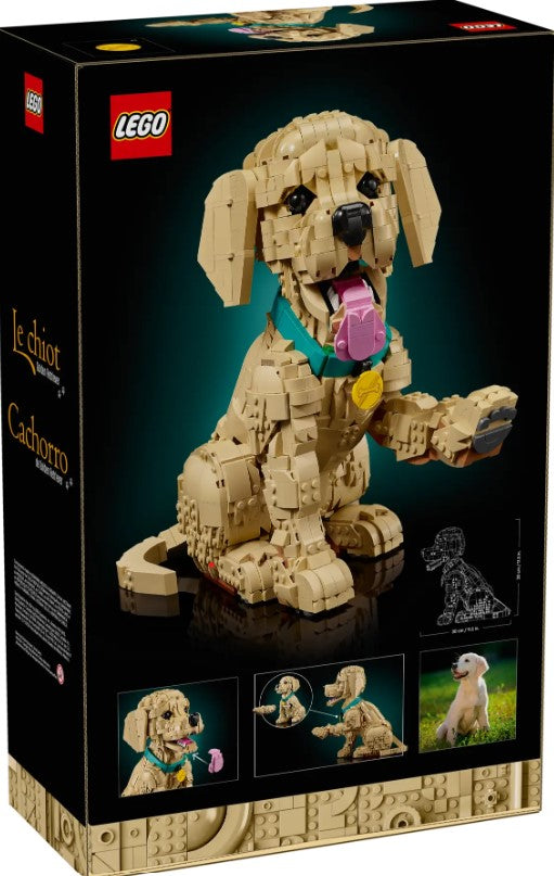 Icons Golden Retriever Puppy - 11384