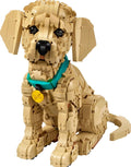 Icons Golden Retriever Puppy - 11384