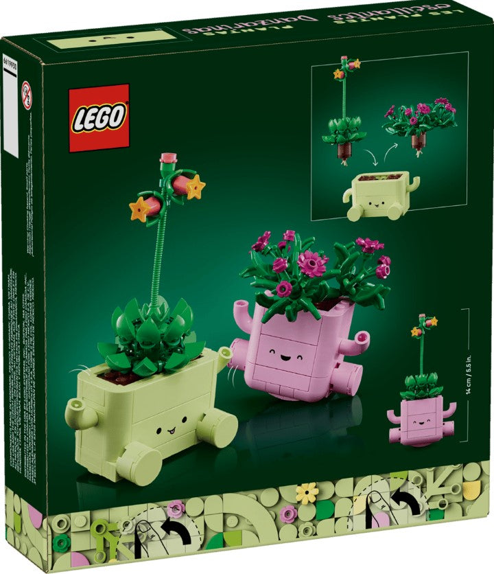 Botanicals Rocking Plants - 11506