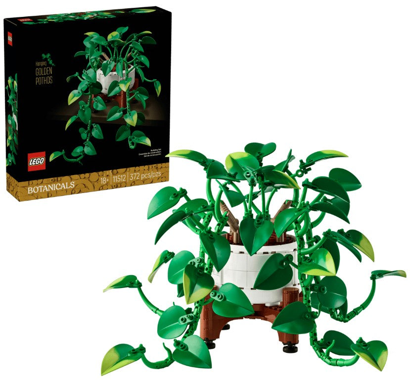 Botanicals Hanging Golden Pothos - 11512