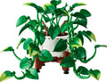 Botanicals Hanging Golden Pothos - 11512