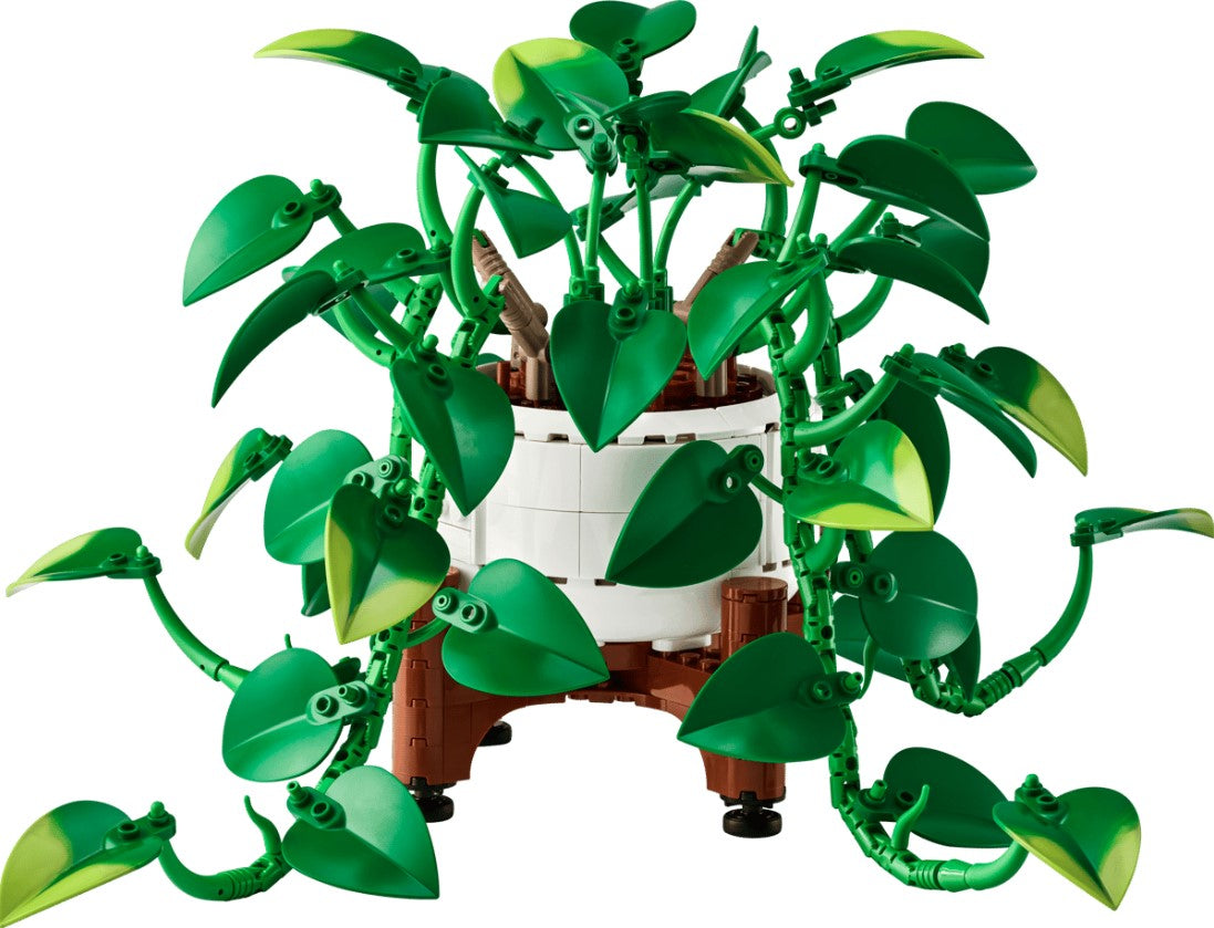 Botanicals Hanging Golden Pothos - 11512
