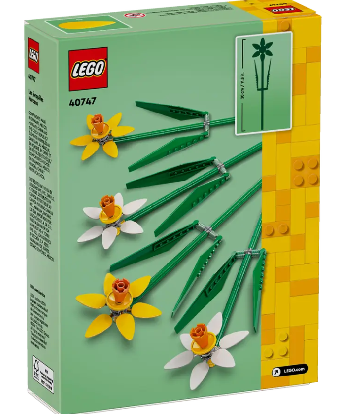 Daffodils - 40747