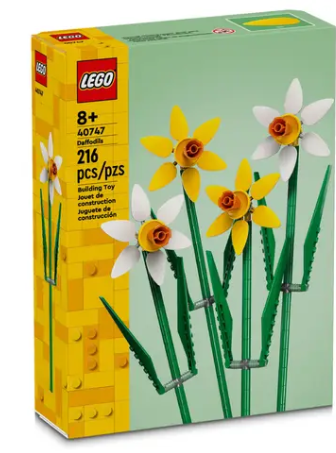 Daffodils - 40747